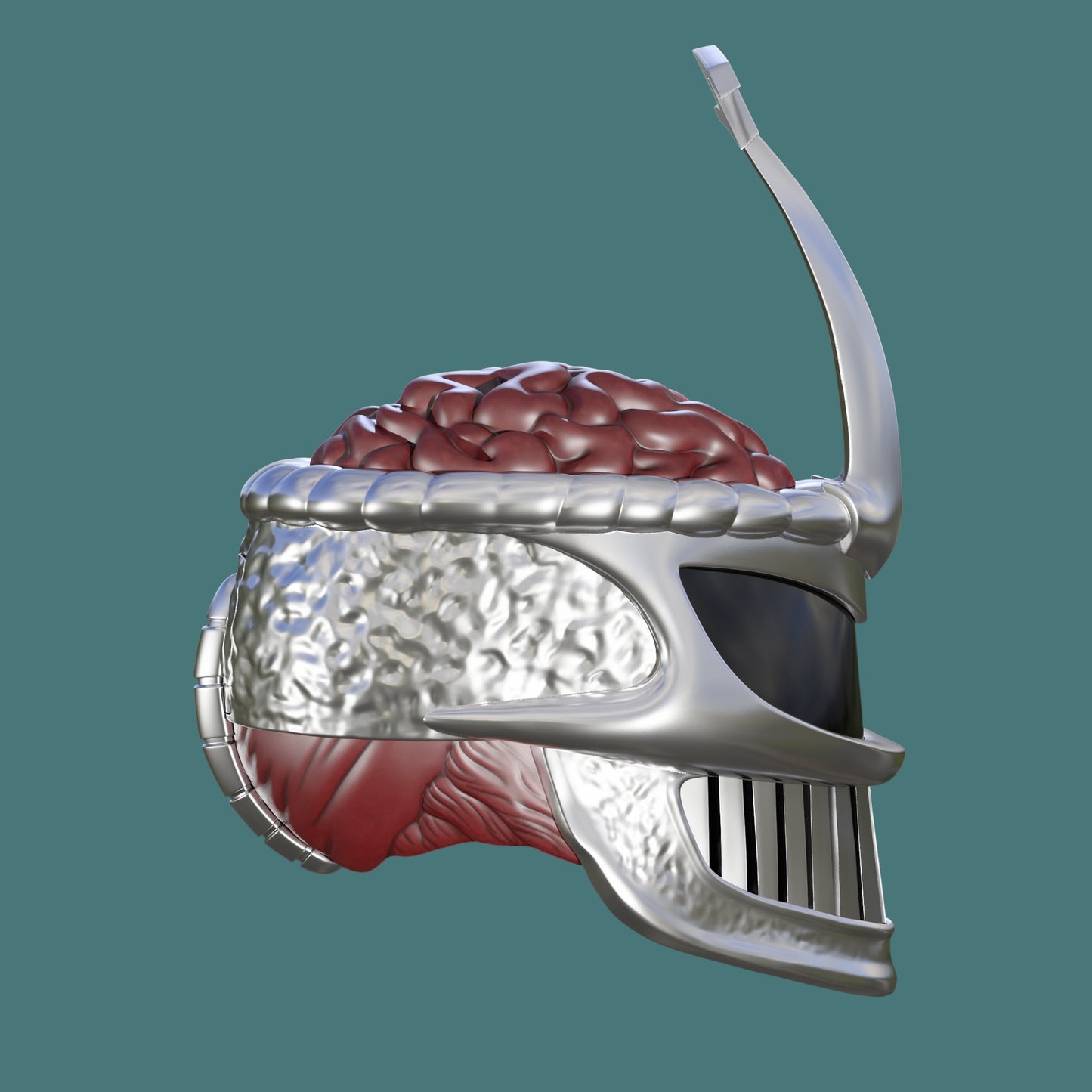 Lord Z Brain Helm